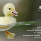 就是我