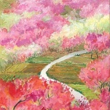 又自由又美好