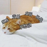 阿苾