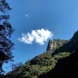 不散漫的人