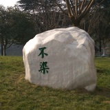 此人已疯