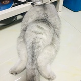 风湿麻木