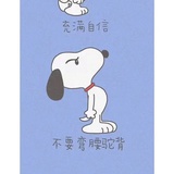 小小小小胖