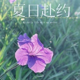 不停游泳的鱼