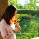 夏❀元宝