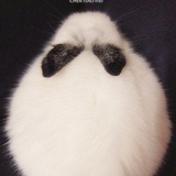 RabTo