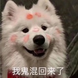 秋水月主
