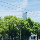 憨憨