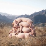 胡钱钱