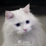 杭州朱大姐