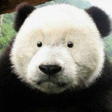 花吃了那骚年