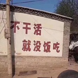 金金