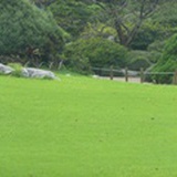 红黄相间