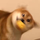 大嘴巴