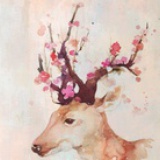 静渊至柔