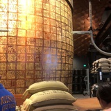 豆豆