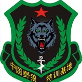 野狼特训基地