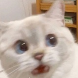吐个泡泡