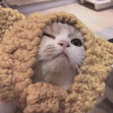 趁早。