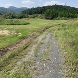 willkris