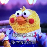 沙滩上的猫