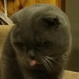 meibian
