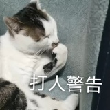 一棵呀小白杨