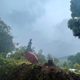 漠默