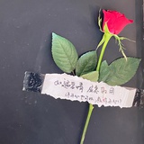 铁头妹妹🧍‍♀️