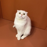 叨叨逼逼小王