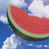 十七