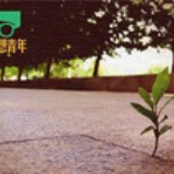 东西南北