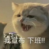 蛋黄君