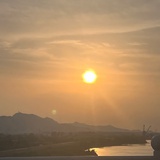 圆圆的小胖墩