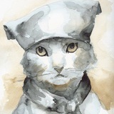 泠泠猫