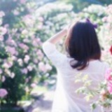 棉花糖