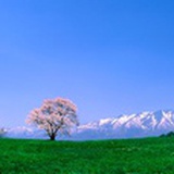 王山而陈