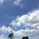 岁岁