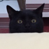 庙山郎