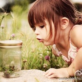 红豆豆