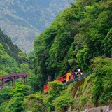 景离