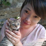andy家的小猫