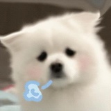 醉醺醺的江湖骗子