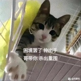 大风起希