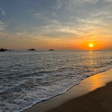 海豚