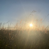 heavenlywhite