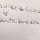 落羽桐