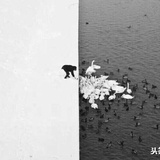 豆080214317