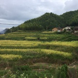 。