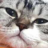 余越